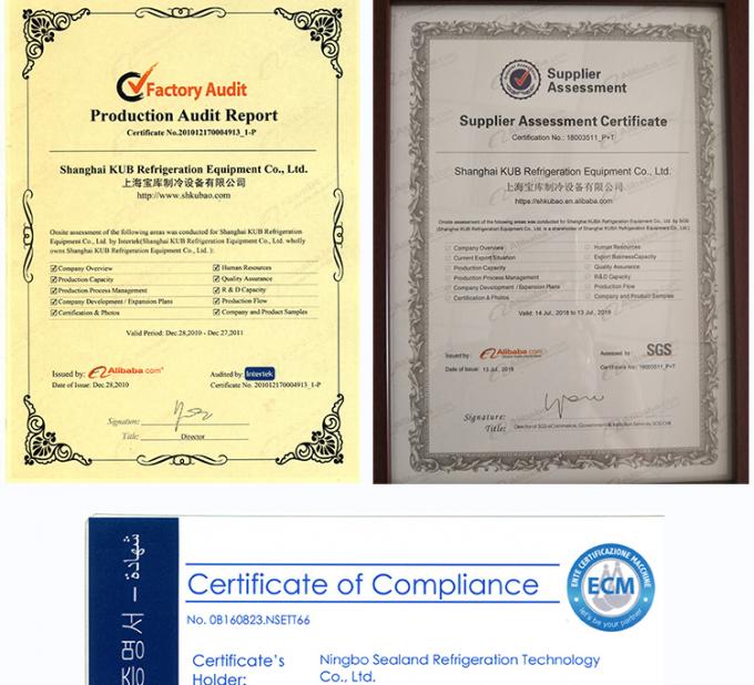 SPAE053D CE-Zertifizierung Industrieller Drei-Ventilator-Dampfkühler für Kühlraum 6