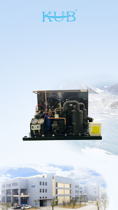 TAG2516Z Tecumseh Kompressor Kühlgerät Gefriereinheit R404a Kondensationseinheit für den Spaziergang im Gefrierraum