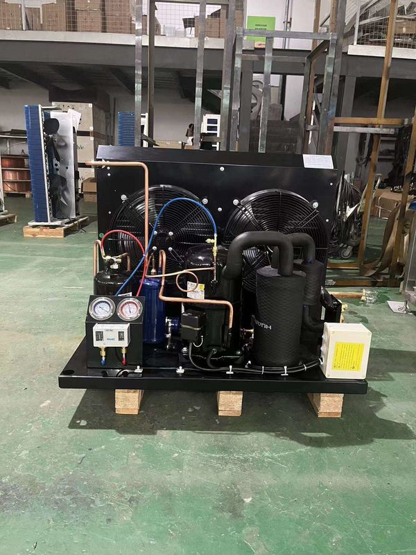 TAG2516Z Tecumseh Kompressor Kühlgerät Gefriereinheit R404a Kondensationseinheit für den Spaziergang im Gefrierraum