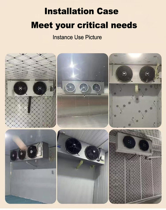 DL-Serie DL22-Kühler CE-Zertifizierung kundenspezifischer Luftkühler 3 PS Kälteanlagenverdampfer Deckenverdampfer, geeignet für Lagerkühlung, Kühlraum, Gemüsekühllager