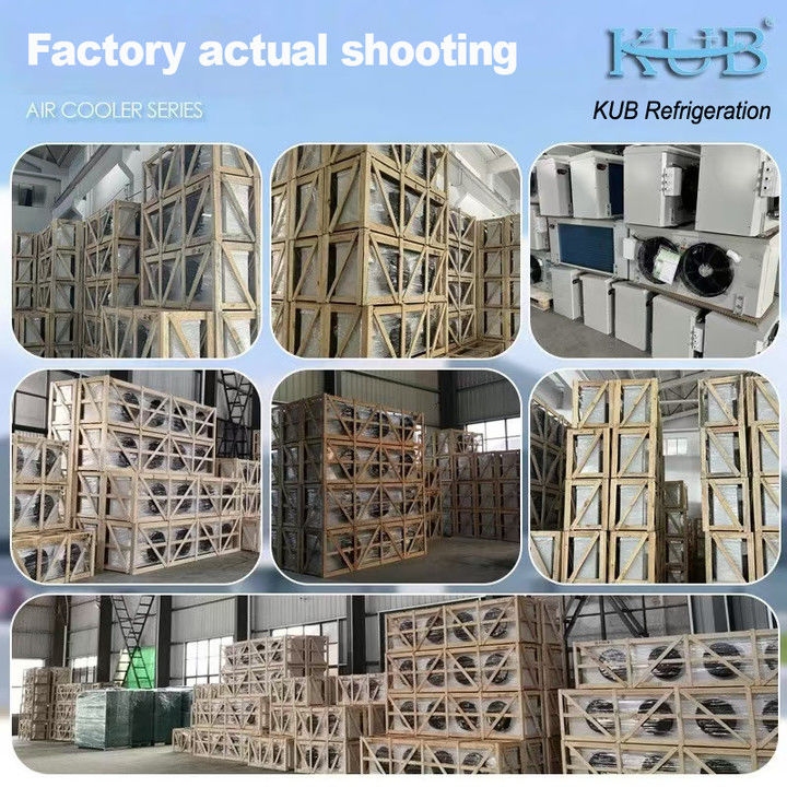 DJ-Serie DJ100 Einzelkühler CE-zertifiziertes Kühlhaus spezialisierter Luftkühler Verdampfer Deckenverdampfer Kühlgerätehersteller,Kühlfabrik, Kühlhaus