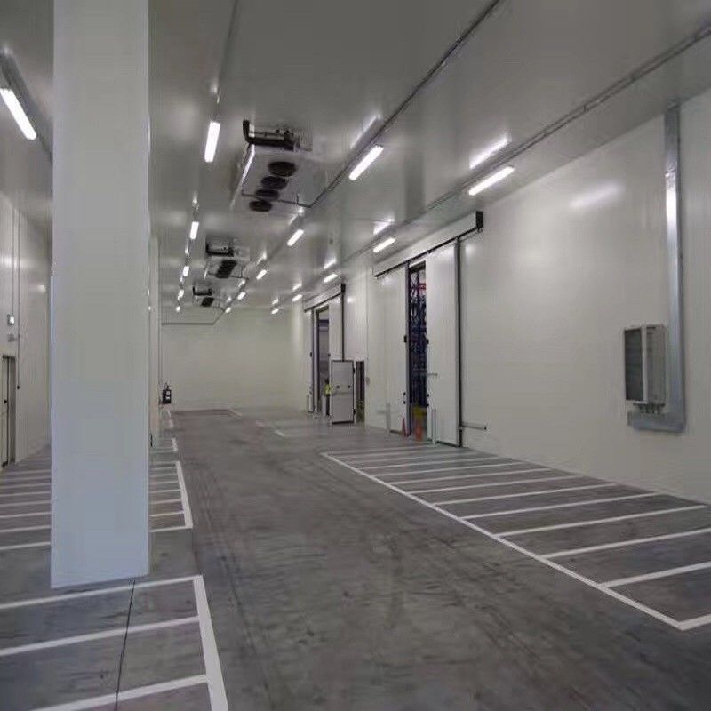 Neuer Kühlraumraum für Fleischkartoffel Gemüse-beaf Kühlraumluftkühler