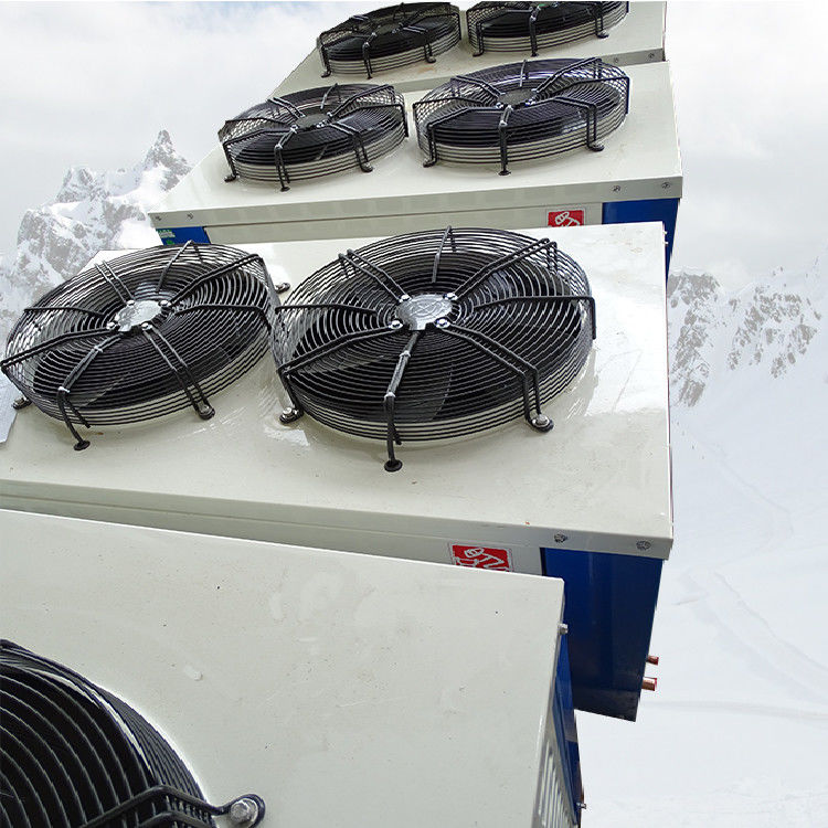 Luft 30HP kühlte kondensierendes Einheits-kastenähnliches Kühlgerät ab